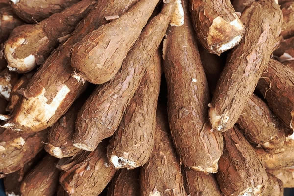 Cassava and tuber products by Rural Pride